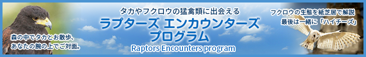 ホーキング ウォーキング タカとの散歩コース