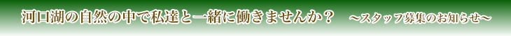 河口湖の自然の中で私達と一緒に働きませんか？　～スタッフ募集のお知らせ~